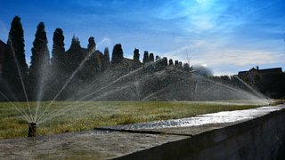 DSC_1079.JPG