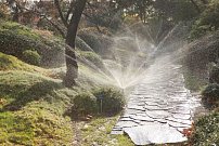 Botanicka zahrada Praha Troja - cast Japonsko (8).jpg