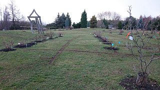 pivonkova louka - botanicka zahrada- jaro 2016.JPG