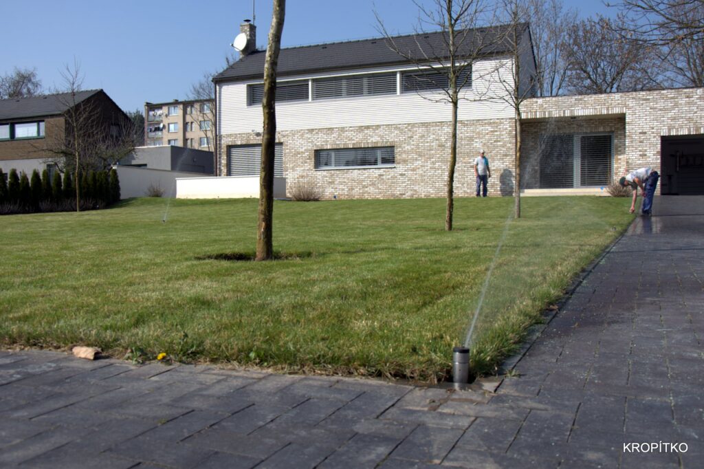 DSC_1245.jpg