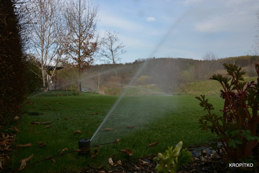 DSC_1261.JPG